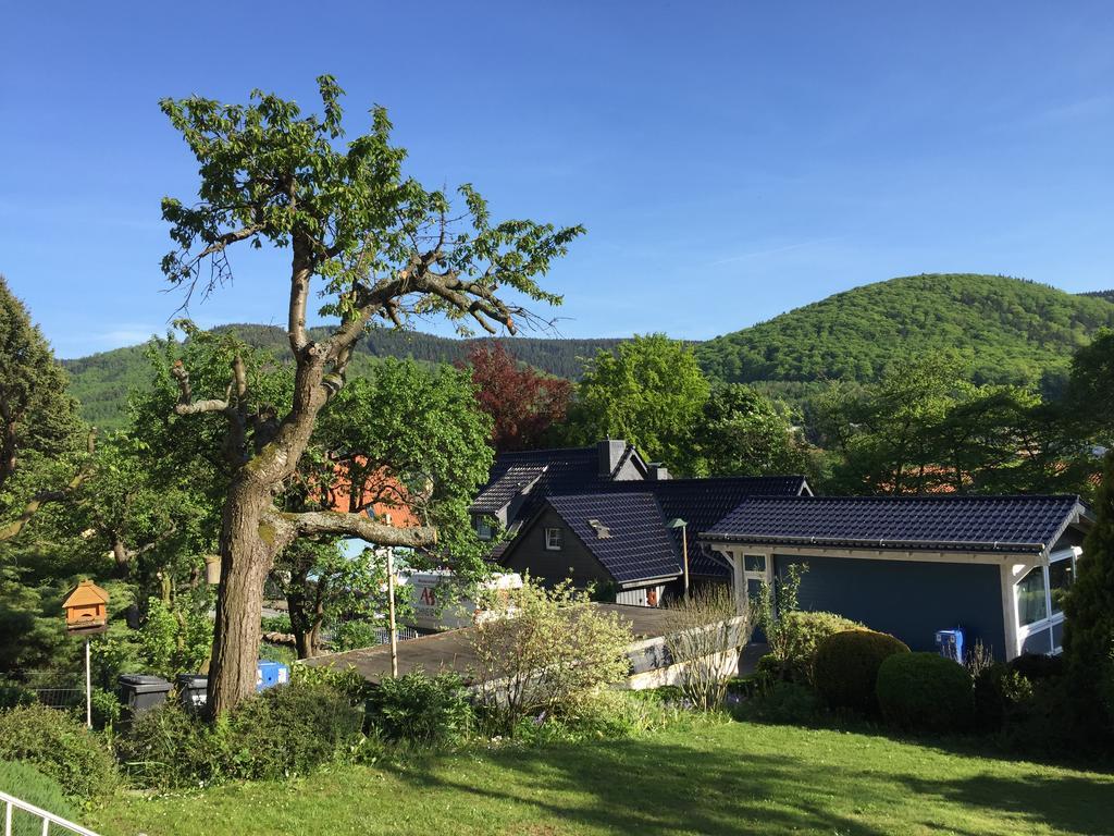 Villa Ferienhaus Goethestrasse Bad Harzburg Exterior foto